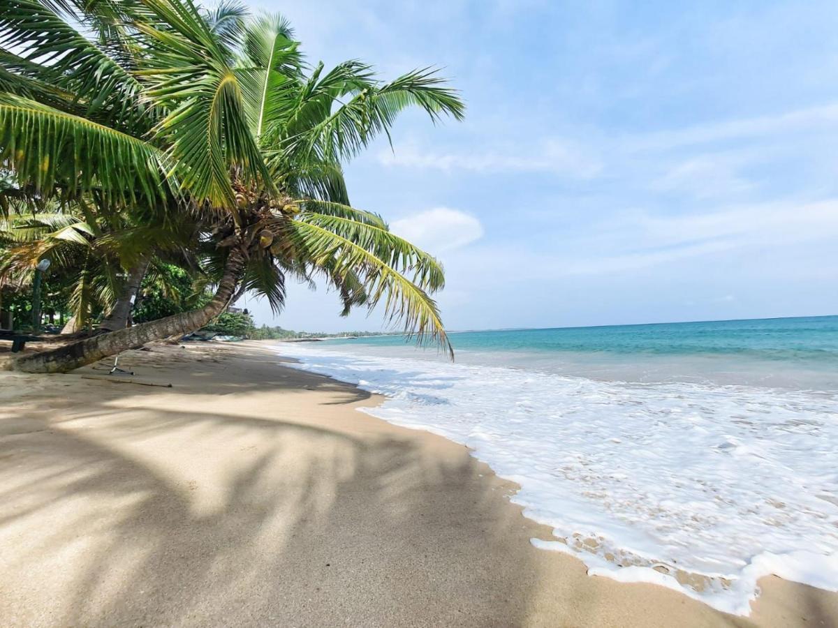 טנגלה Frangipani Beach Villa מראה חיצוני תמונה